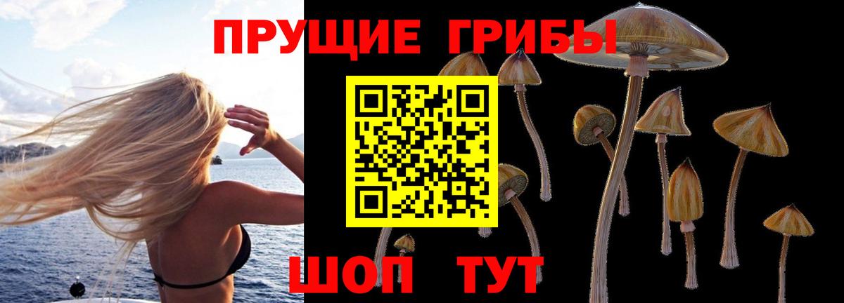 Псилоцибиновые грибы Magic Shrooms Красный Сулин