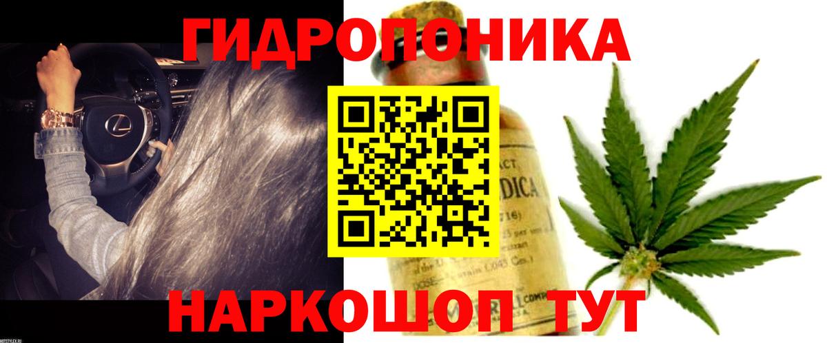 Конопля семена Красный Сулин